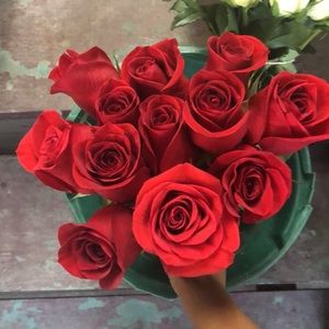 Meet your Posher, Courtney